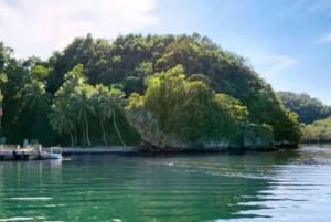 Privat: Los Haitises Nationalpark 2-dages tur med måltider