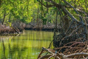 Private: Los Haitises National Park 2-Day Tour with Meals