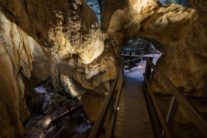 Private: Los Haitises & Redonda Mountain Day Tour