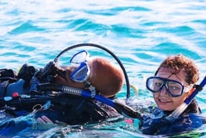 Privat: Lunsj på katamaran rundt Catalina Island