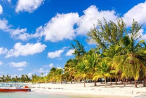 Private: Lunch on a Catamaran Cruise Around Catalina Island