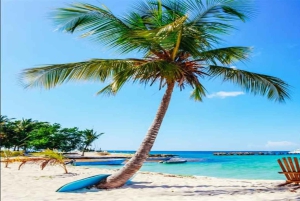 Private: Lunch on a Catamaran Cruise Around Catalina Island