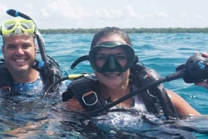 Private: Lunch on a Catamaran Cruise Around Catalina Island