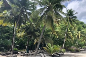 Частная экскурсия: роскошный катер на остров Саона с открытым баром