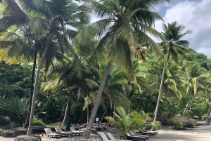 Excursion privée de luxe en hors-bord vers l'île de Saona avec open bar