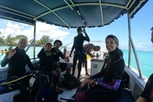 Yksityinen: PADI Open Water -kurssi La Romanassa (3 päivää)