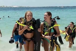 Yksityinen: PADI Open Water -kurssi La Romanassa (3 päivää)