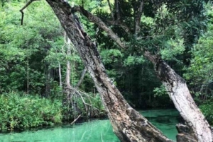 Privat: Heldagsudflugt til Playa Rincón, Samaná og Levantado