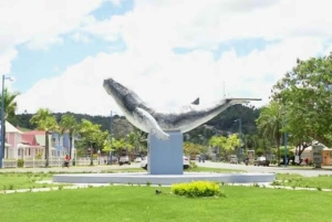 Privat: Heldagsudflugt til Playa Rincón, Samaná og Levantado