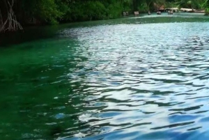 Privat: Heldagsudflugt til Playa Rincón, Samaná og Levantado