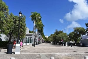 Privat: Kulturell och historisk halvdagsrundtur i Puerto Plata