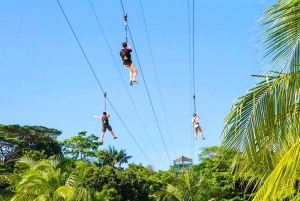 Private: Puerto Plata Zip-Line Thrill Experience