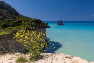 Privat: Punta Cana: Buggy-eventyr med Macao Beach