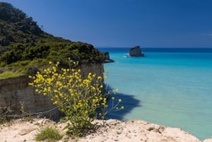 Private: Punta Cana: Buggy Adventure with Macao Beach