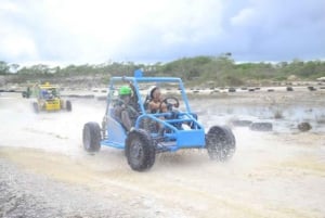 Privat buggytur, zipline og fossbassengtur i Punta Cana