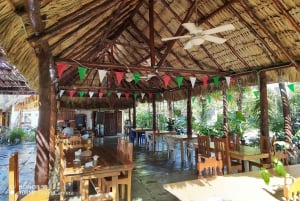 Private: Punta Cana: Buggy Tour with Cenote Swim & Macao