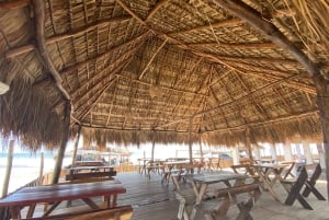 Private: Punta Cana: Buggy Tour with Cenote Swim & Macao