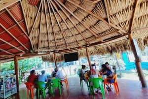 Private: Punta Cana: Buggy Tour with Cenote Swim & Macao