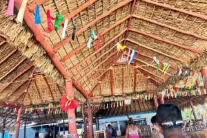 Private: Punta Cana: Buggy Tour with Cenote Swim & Macao