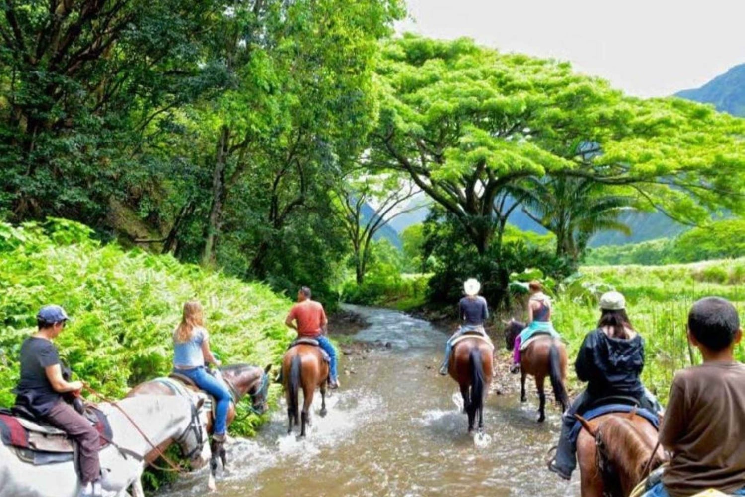 Private Punta Cana Full-Day Safari & Nature Adventure