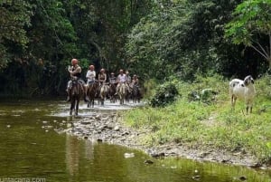 Private Punta Cana Full-Day Safari & Nature Adventure