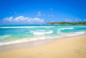 Private Punta Cana Full-Day Safari & Nature Adventure