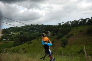 Privat: Punta Cana djungel 12-kabel zipline äventyr