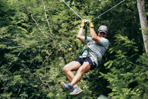 Private: Punta Cana Jungle 12-Cable Zipline Adventure