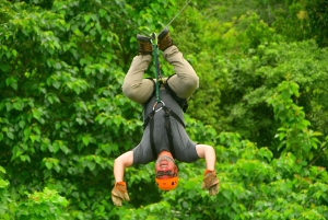 Private: Punta Cana Jungle 12-Cable Zipline Adventure