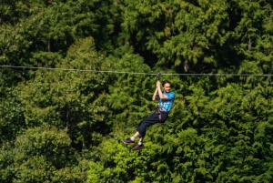 Private: Punta Cana Jungle 12-Cable Zipline Adventure