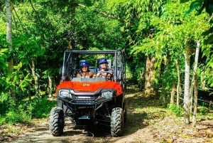 Private:Punta Cana: Off-Road Buggy Tour with Cenote & Lunch