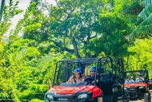 Private:Punta Cana: Off-Road Buggy Tour with Cenote & Lunch