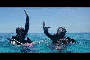 Private: Punta Cana: Reef Diving Adventure with Hotel Pickup