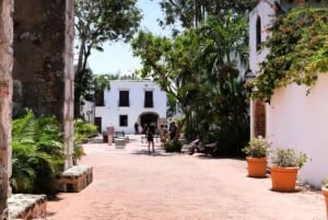 Privat: Dagstur til Santo Domingo fra Punta Cana med frokost