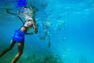Private: Punta Cana to Catalina: Snorkeling, Beach & Buffet