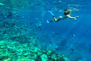 Private: Punta Cana to Catalina: Snorkeling, Beach & Buffet