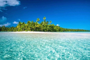 Private: Punta Cana to Catalina: Snorkeling, Beach & Buffet