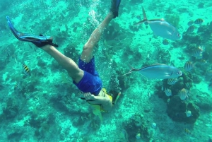 Private: Punta Cana to Catalina: Snorkeling, Beach & Buffet