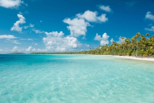 Private: Punta Cana to Catalina: Snorkeling, Beach & Buffet