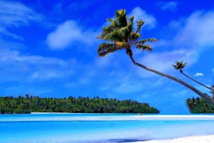 Private: Punta Cana to Catalina: Snorkeling, Beach & Buffet