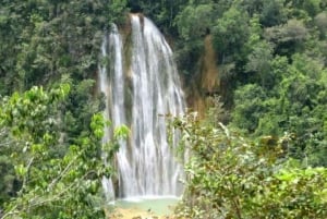 Privat: Punta Cana Whale Watching Bacardí Island Abenteuer