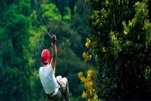 Private: Rainforest Ziplining Adventure in Anamuya