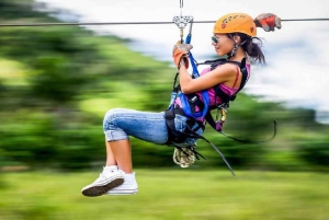 Private: Rainforest Ziplining Adventure in Anamuya