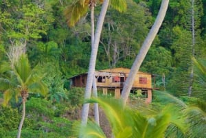 Privat Rincón-stranden og Bacardi-øya fra Punta Cana