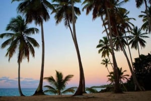 Privat Rincón-stranden og Bacardi-øya fra Punta Cana