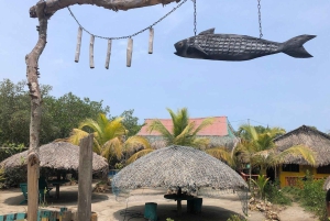 Prywatna wycieczka: życie na wsi i w mieście w Dominikanie: smaki, pola