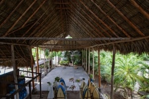 Prywatna wycieczka: życie na wsi i w mieście w Dominikanie: smaki, pola