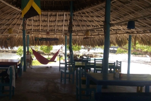 Prywatna wycieczka: życie na wsi i w mieście w Dominikanie: smaki, pola