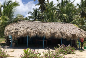 Prywatna wycieczka: życie na wsi i w mieście w Dominikanie: smaki, pola