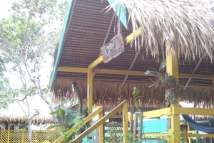 Prywatna wycieczka: życie na wsi i w mieście w Dominikanie: smaki, pola